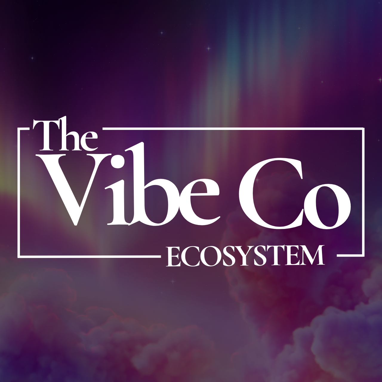 Vibe Programs Image Placeholder